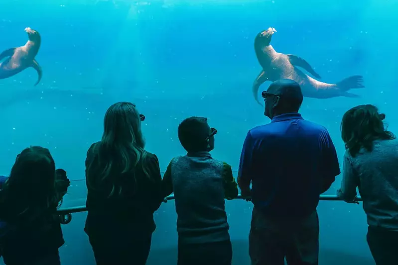 Family with Sea Lions