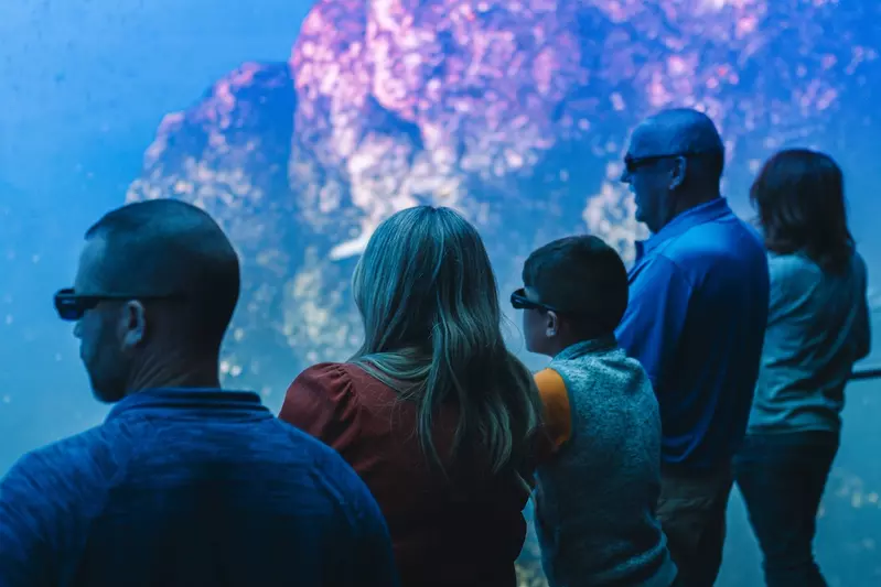 Group of adults and children with interactive glasses on looking at an ocean screen.