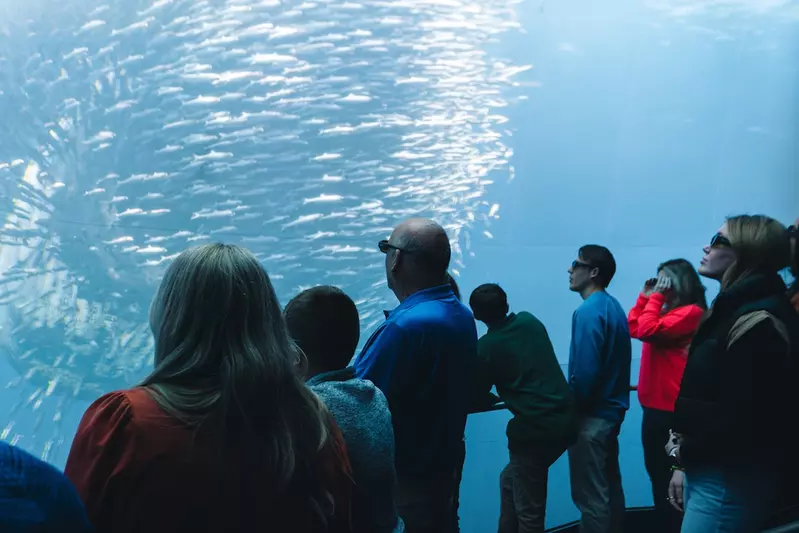 A group of adults and children with interactive glasses on marveling at a screen showing the ocean and animals in the ocean.