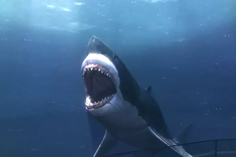 A Shark under water with it's mouth open showing it's teeth.