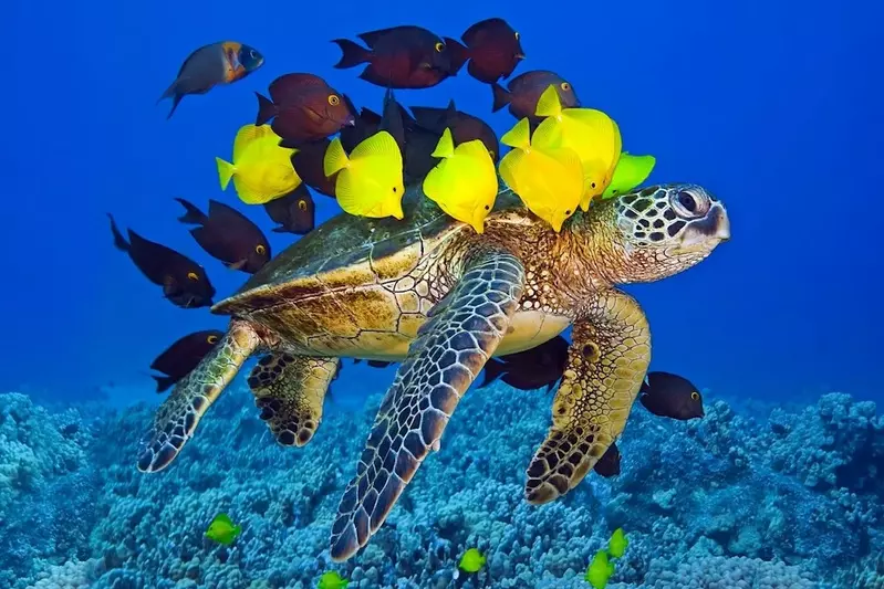 A turtle with fish swimming around it close to the ocean floor.