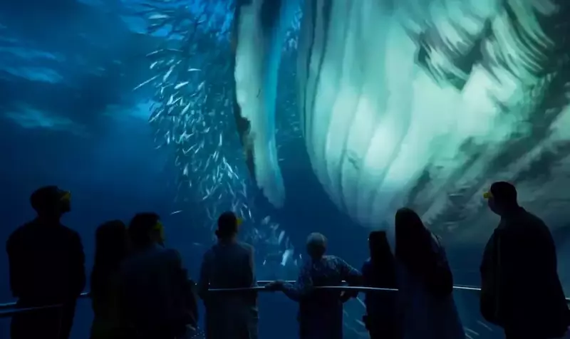 A group of adults and children with interactive glasses on marveling at a screen showing a whale swimming in the ocean after a school of fish.