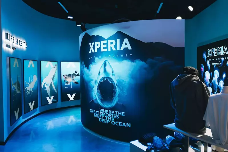 Hallway in Xperia with posters of different sea animals including sharks, turtles, whales, and squid.